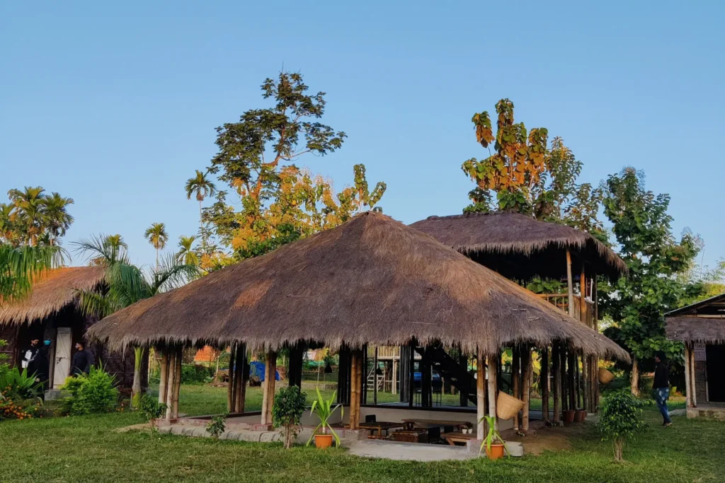 Eco-Friendly Camping Near Nameri National Park
